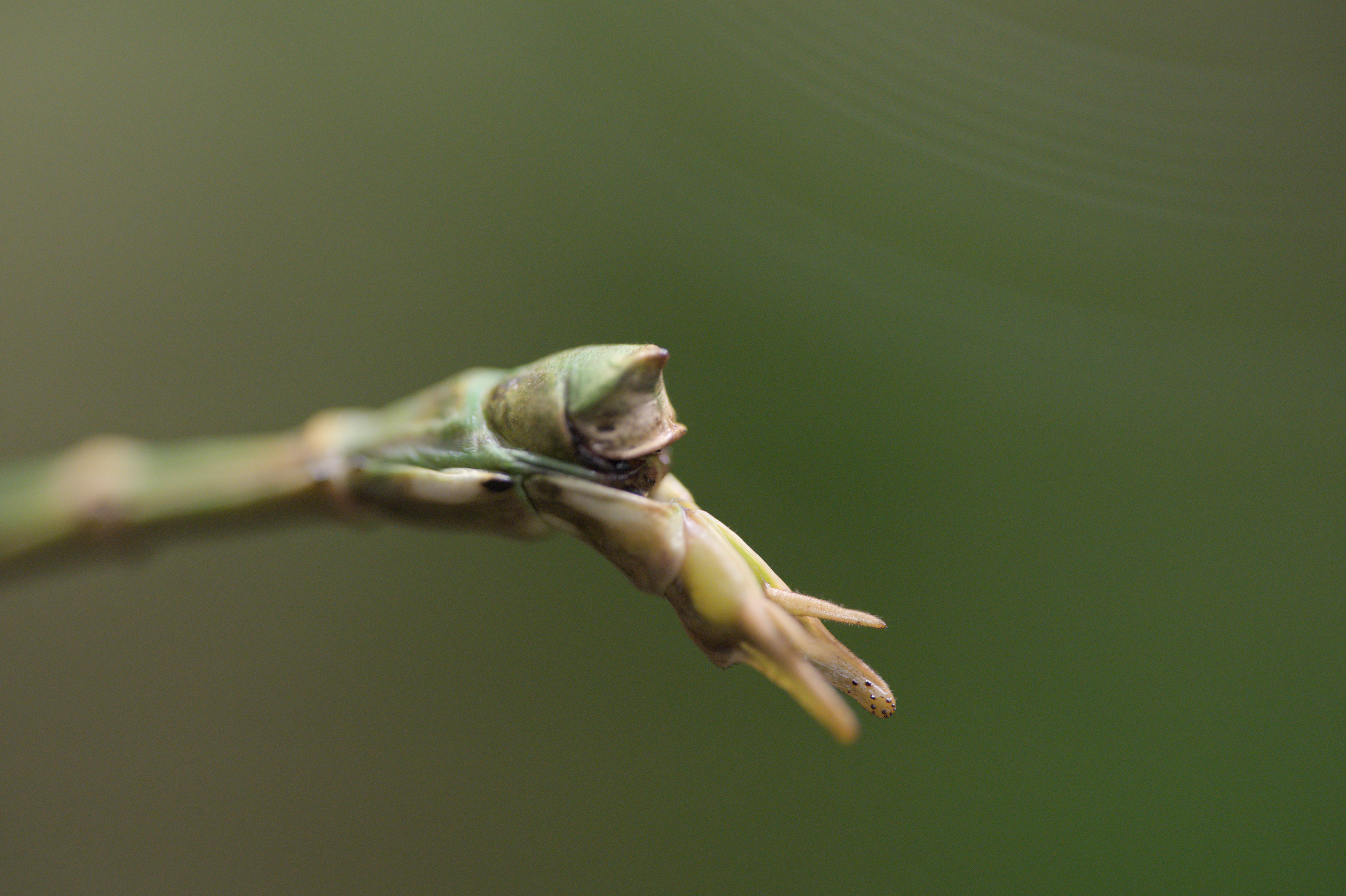 2025/10/12 - zoo/DSC_0209.jpg